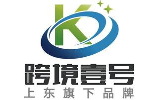 广州跨境电商卖家运营管理工具 跨境壹号ERP系统软件定制